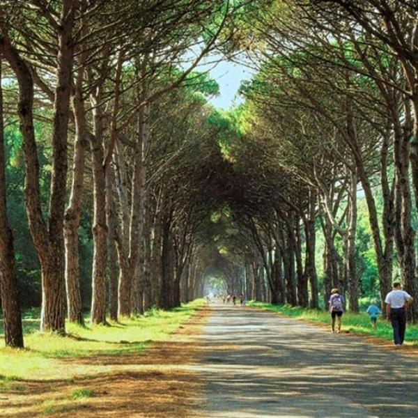 Casa Indipendente Pisa Βίλα Εξωτερικό φωτογραφία